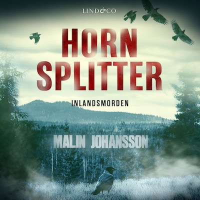 Hornsplitter