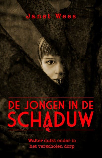De jongen in de schaduw: Walter duikt onder in het verscholen dorp – omslag van het luisterboek van Janet Wees