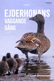 Ejderhonans vaggande gång – omslag till ljudboken av Lennart Svensson