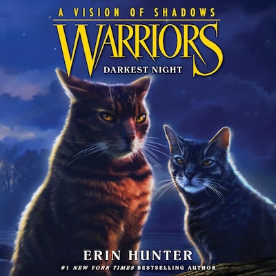 Warriors: A Vision of Shadows #4: Darkest Night