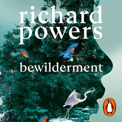 Bewilderment