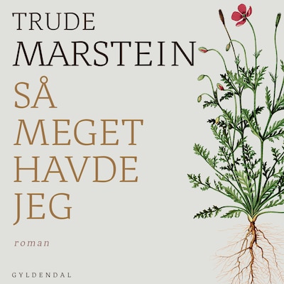Så meget havde jeg – omslag til lydbogen af Trude Marstein