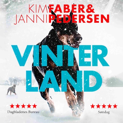Vinterland – omslag til lydbogen af Kim Faber, Janni Pedersen