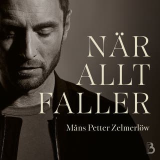 När allt faller – omslag till ljudboken av Måns Zelmerlöw