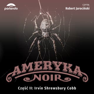 Rybiłeb. Drugie przyjście pierwszego męża – okładka audiobooka, autor Irvin S. Cobb