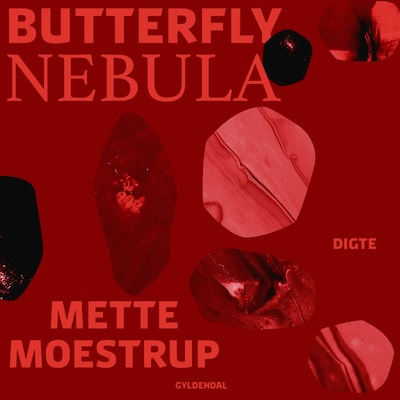 Butterfly Nebula – omslag til lydbogen af Mette Moestrup