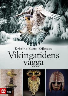 Vikingatidens vagga : i vendeltidens värld