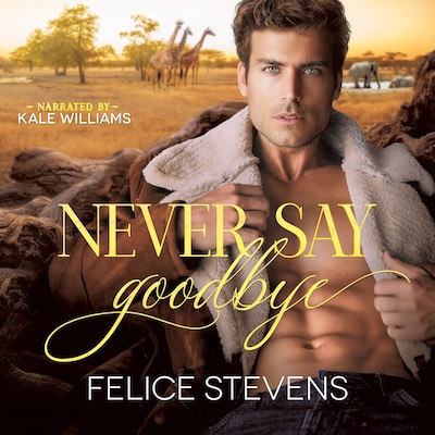 Never Say Goodbye – omslag til lydbogen af Felice Stevens