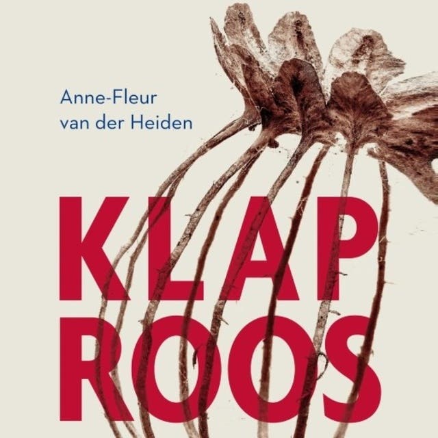 Klaproos
