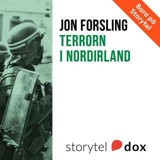 Terrorn i Nordirland