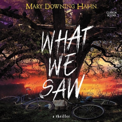 What We Saw – omslag til lydbogen af Mary Downing Hahn