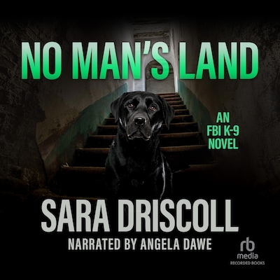 No Man's Land – omslag til lydbogen af Sara Driscoll