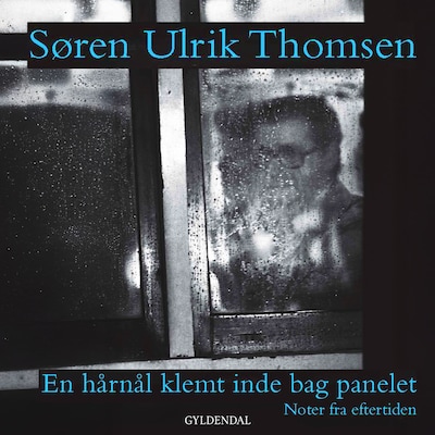 En hårnål klemt inde bag panelet – omslag til lydbogen af Søren Ulrik Thomsen