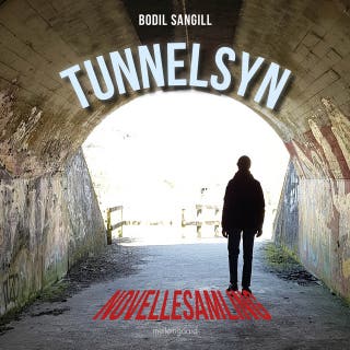 TUNNELSYN – omslag til lydbogen af Birgit Sangill