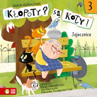 Kłopoty? Są koty! Jajecznica – okładka audiobooka, autor Marcin Przewoźniak
