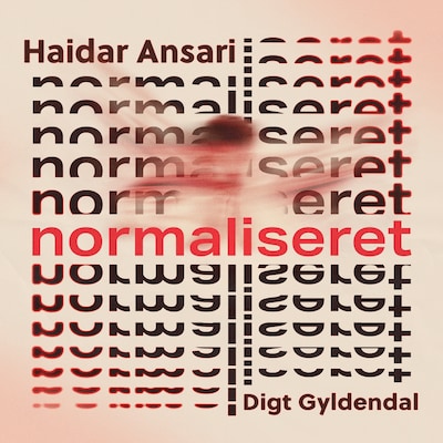 Normaliseret – omslag til lydbogen af Haidar Ansari