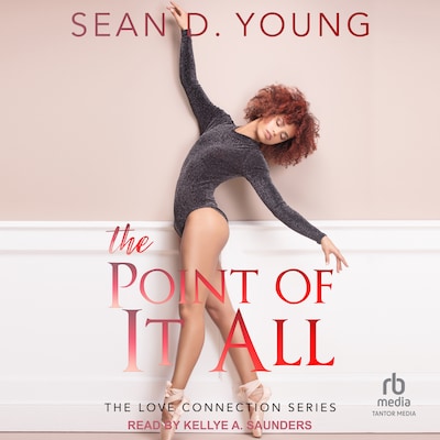 The Point of It All – omslag til lydbogen af Sean D. Young