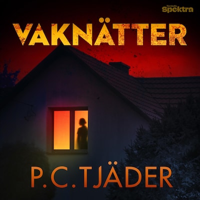 Vaknätter