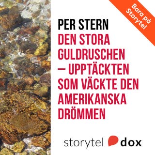 Den stora guldruschen - Upptäckten som väckte den amerikanska drömmen