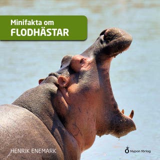 Minifakta om flodhästar – omslag till ljudboken av Henrik Enemark
