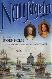 Nattfågeln – omslag till ljudboken av Björn Holm