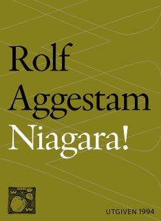 Niagara! : en berättelse – omslag till ljudboken av Rolf Aggestam