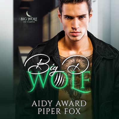 Big D Wolf – omslag til lydbogen af Aidy Award