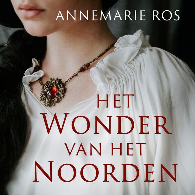 Het wonder van het noorden: Een jonge vrouw in middeleeuws Groningen draagt een groot geheim met zich mee...