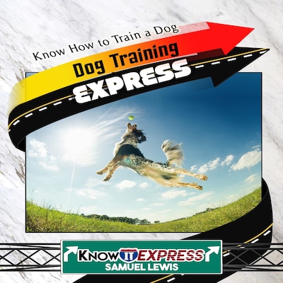 Dog Training Express