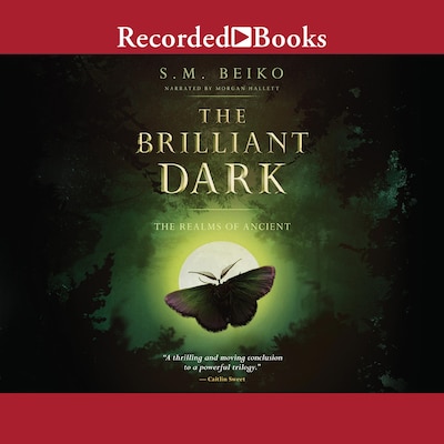 The Brilliant Dark – omslag til lydbogen af S.M. Beiko