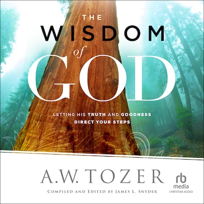The Wisdom of God – omslag til lydbogen af A.W. Tozer
