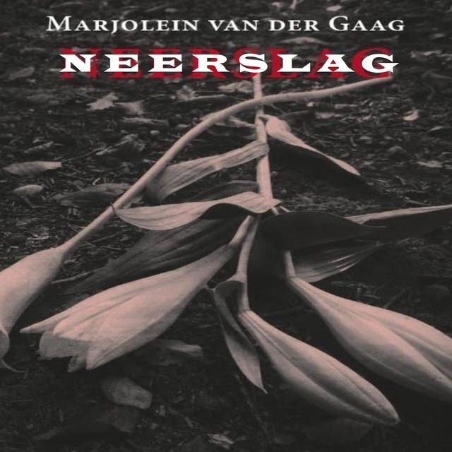 Neerslag