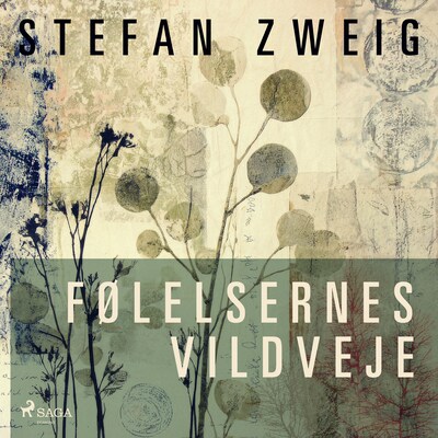 Følelsernes vildveje – omslag til lydbogen af Stefan Zweig