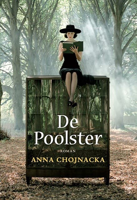 De Poolster – omslag van het luisterboek van Anna Chojnacka