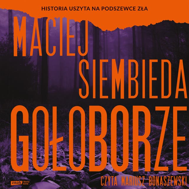 Gołoborze – okładka audiobooka, autor Maciej Siembieda