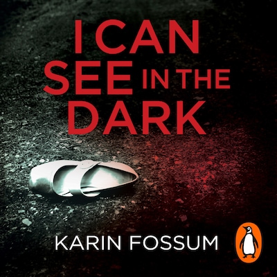 I Can See in the Dark – omslag til lydbogen af Karin Fossum