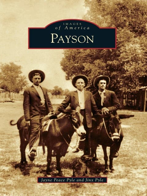 Payson – omslag til lydbogen af Jinx Pyle, Jayne Peace Pyle