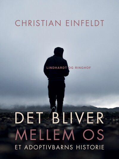 Det bliver mellem os - et adoptivbarns historie – omslag til lydbogen af Christian Einfeldt