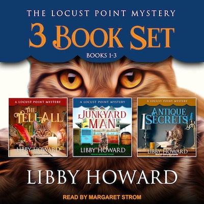 Locust Point Mystery 3 Book Set – omslag til lydbogen af Libby Howard