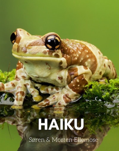 HAIKU – omslag til lydbogen af Søren Ellemose, Morten Ellemose