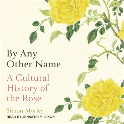 By Any Other Name – omslag til lydbogen af Simon Morley
