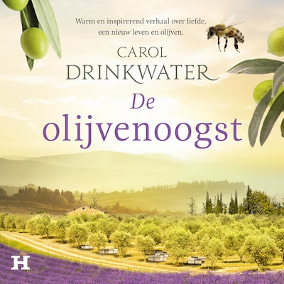 De olijvenoogst