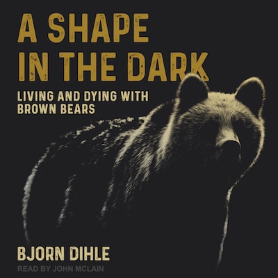 A Shape in the Dark – omslag til lydbogen af Bjorn Dihle