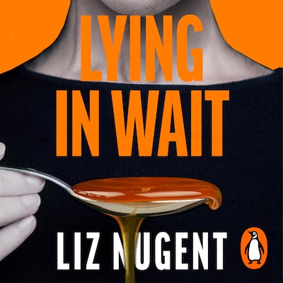 Lying in Wait – omslag til lydbogen af Liz Nugent