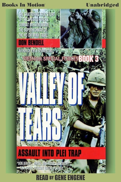 Valley Of Tears – omslag til lydbogen af Don Bendell