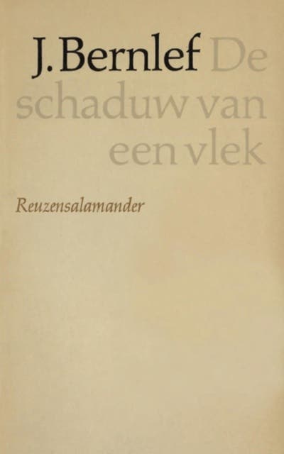 Schaduw van een vlek