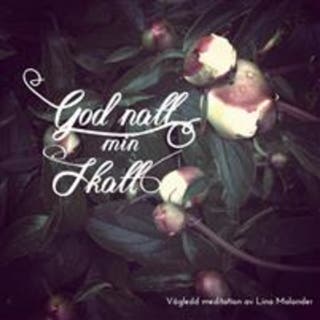 God natt min skatt