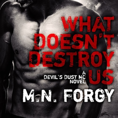 What Doesn't Destroy Us – omslag til lydbogen af M. N. Forgy
