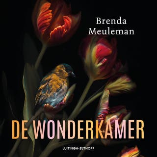 De wonderkamer – omslag van het luisterboek van Brenda Meuleman
