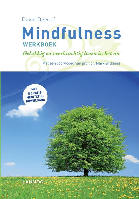 Mindfulness: gelukkig en veerkrachtig is het leven in het nu – omslag van het luisterboek van David Dewulf